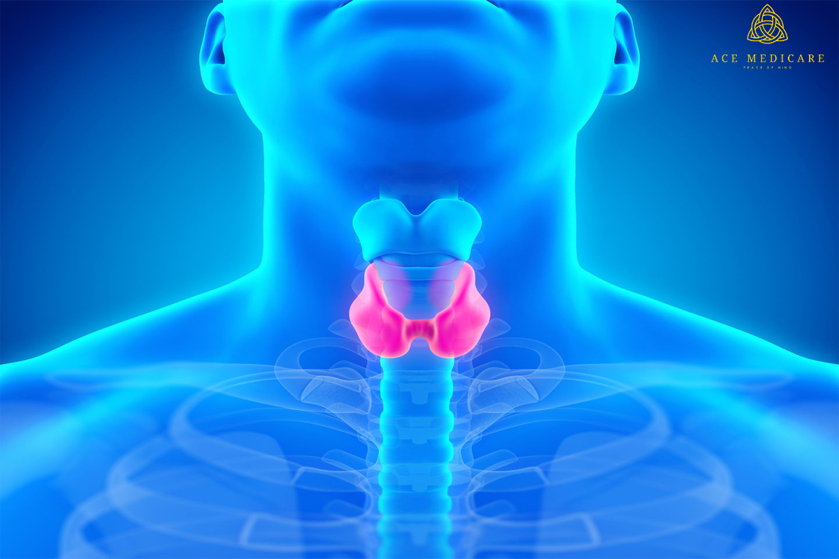 Understanding the Intricate Relationship Between Hormonal Changes and Thyroid Function in Women